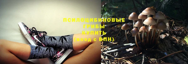 экстази Абинск