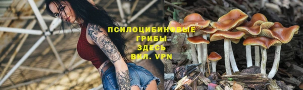 jwh Абаза