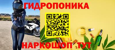 индика Краснознаменск