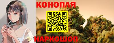 индика Краснознаменск