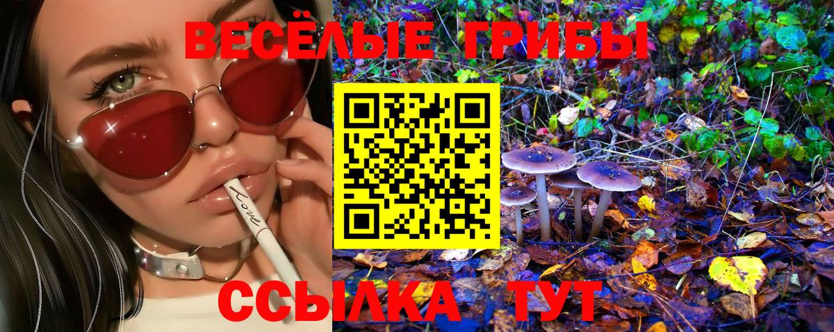 Псилоцибиновые грибы Psilocybe  Вход с VPN  Ипатово  Псилоцибиновые грибы Magic Shrooms 